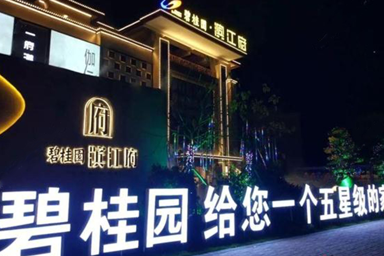惠州博羅碧桂園濱江府